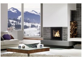 Spartherm Linear Inzet 51x45 (vaste greep) houtkachel